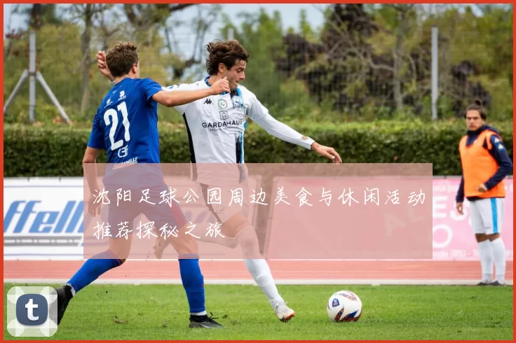 沈阳足球公园周边美食与休闲活动推荐探秘之旅