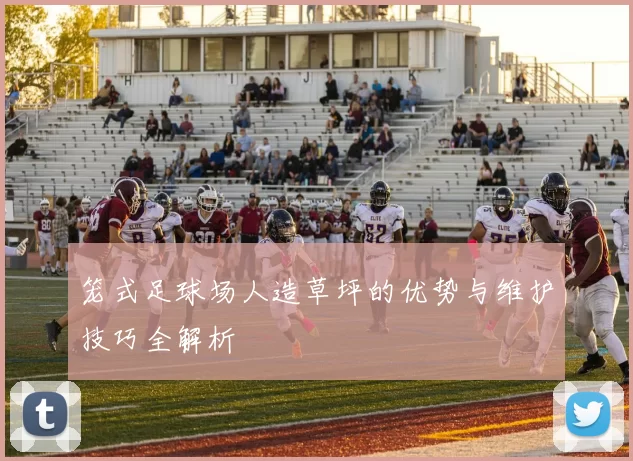 笼式足球场人造草坪的优势与维护技巧全解析