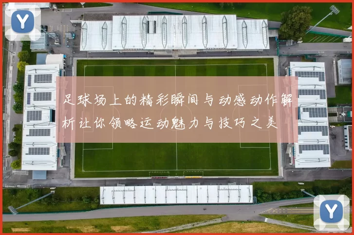 足球场上的精彩瞬间与动感动作解析让你领略运动魅力与技巧之美