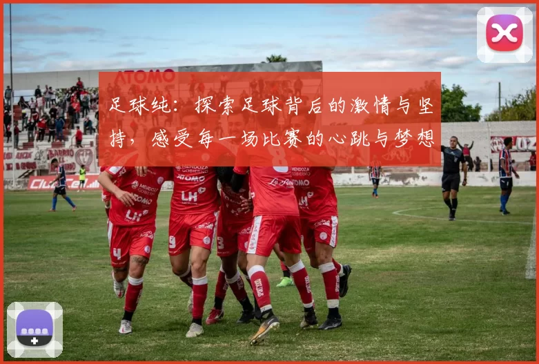 足球纯：探索足球背后的激情与坚持，感受每一场比赛的心跳与梦想