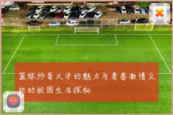 篮球帅哥大学的魅力与青春激情交织的校园生活探秘